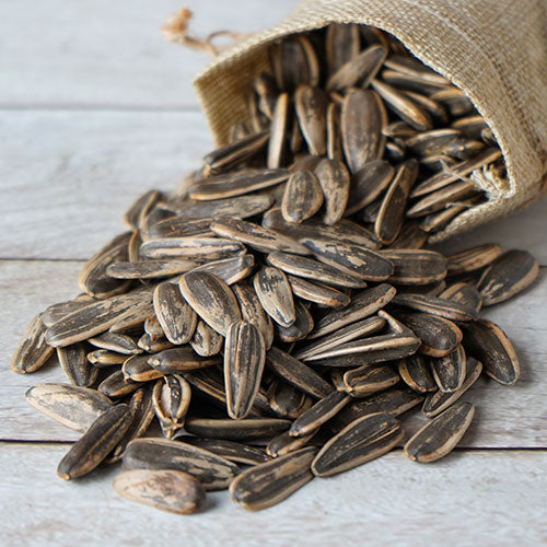 Sunflower Seeds Rosted Without Salt Findik 250 Gm