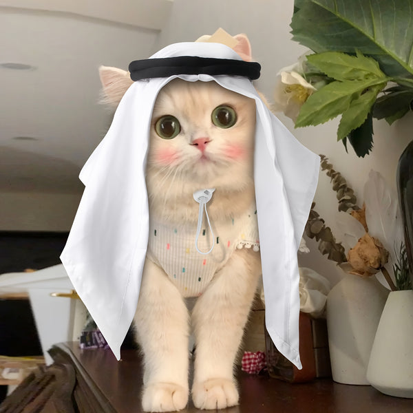 description_selected0