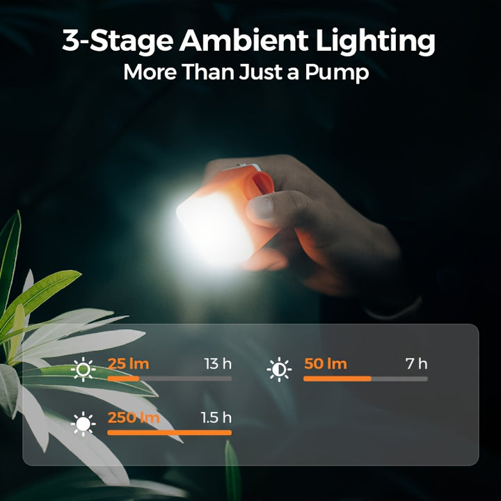 description_selected2