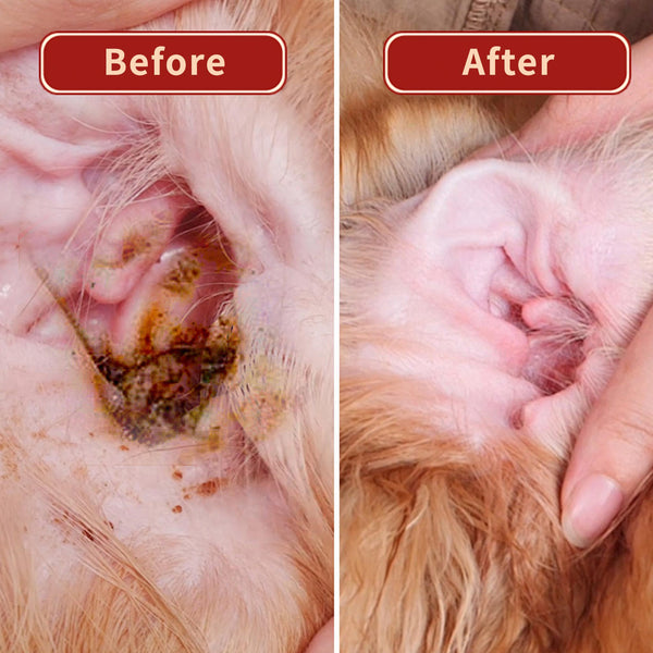 description_selected0