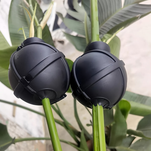 description_selected0