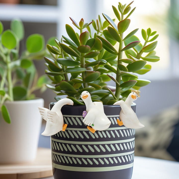 description_selected4