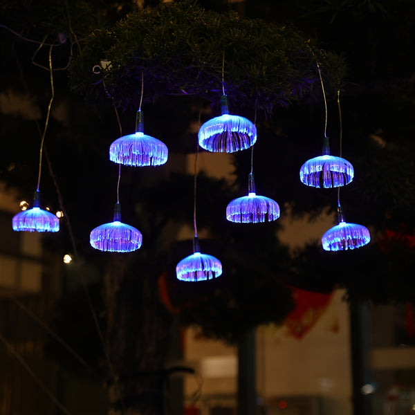 description_selected0