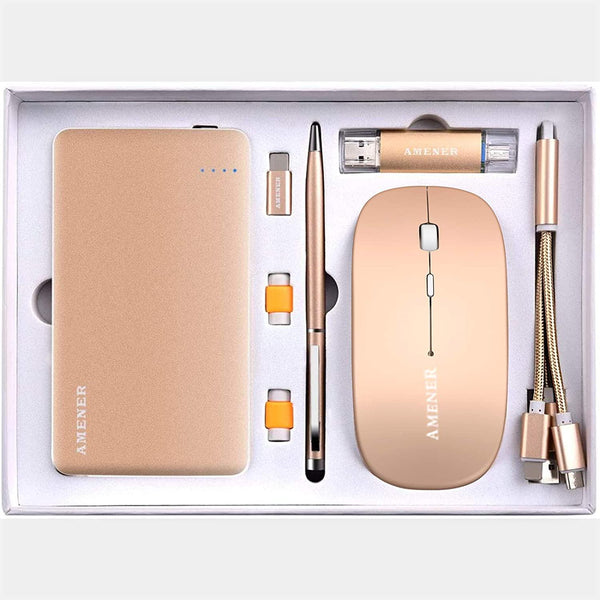 Amener Business Gift Set - Gold - Future Store