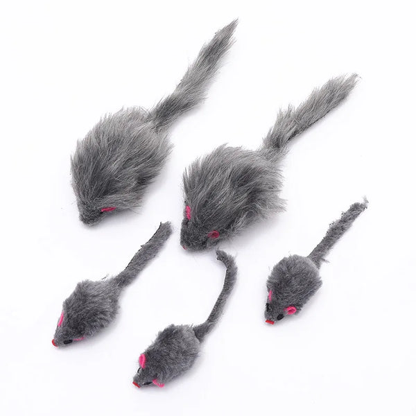 Interactive Cat Toy with Catnip Mouse - Set of 5-FYYT