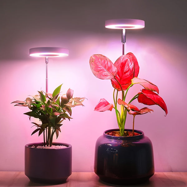 description_selected0