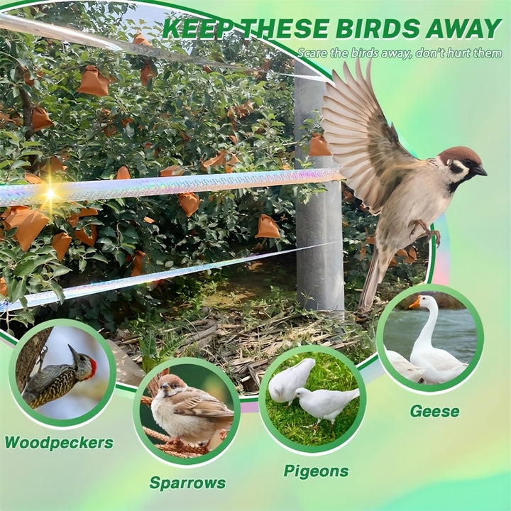 description_selected4