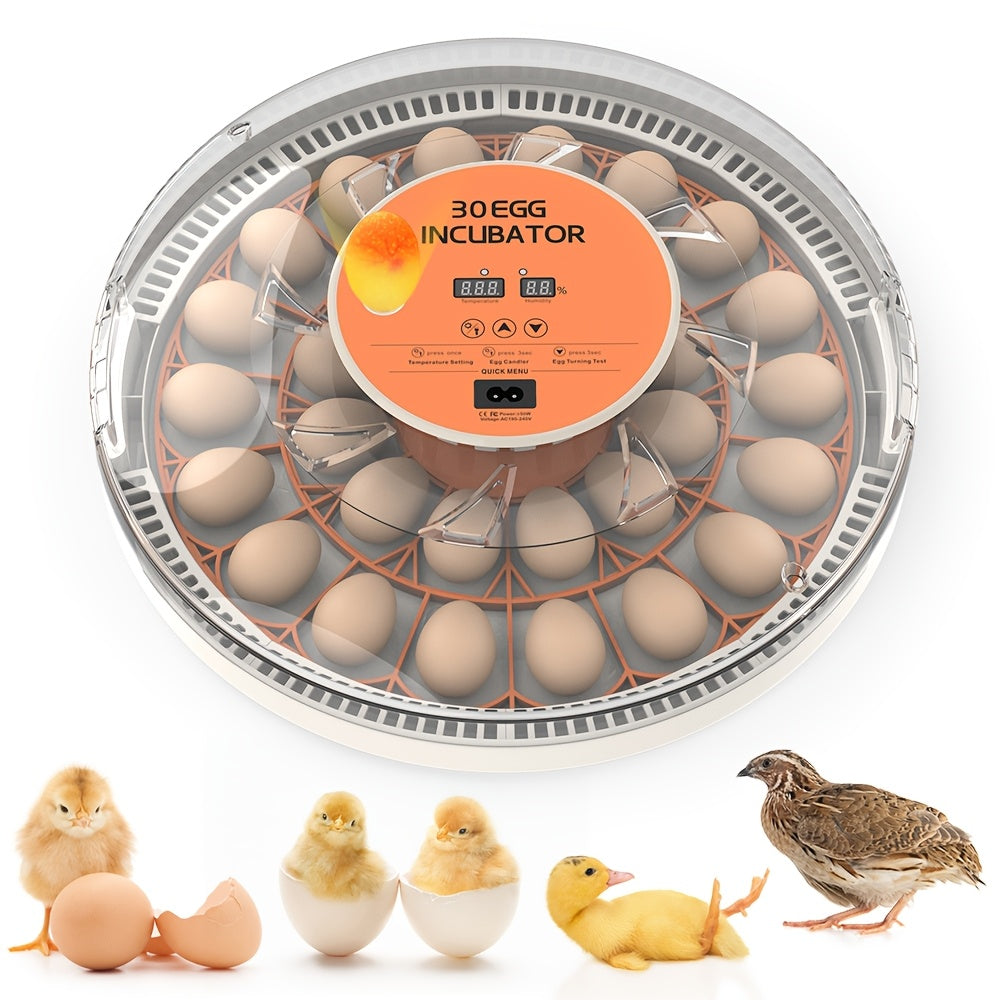 The Fully Automatic Incubator Is Designed for Hatching Chicken Eggs ...