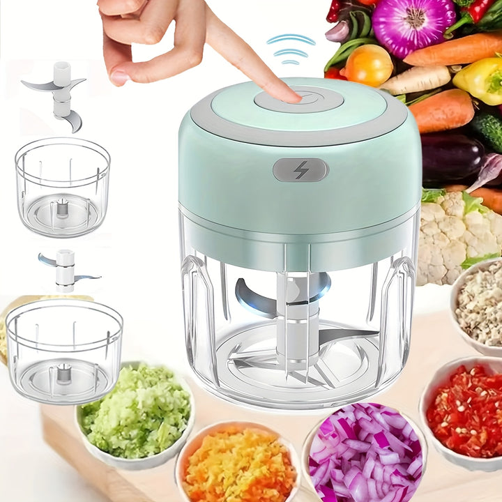 FLZH Mini Electric Food Chopper  SA97