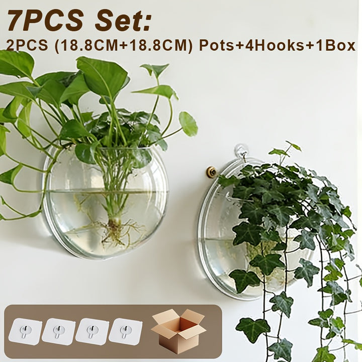 7pc Clear Wall Planter Set