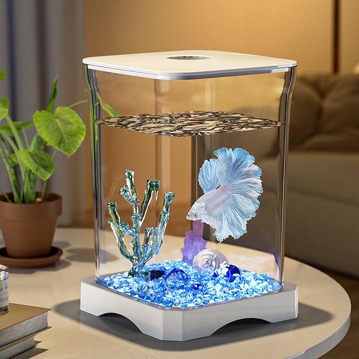 Transparent Desktop Betta Fish Tank  q1uz9