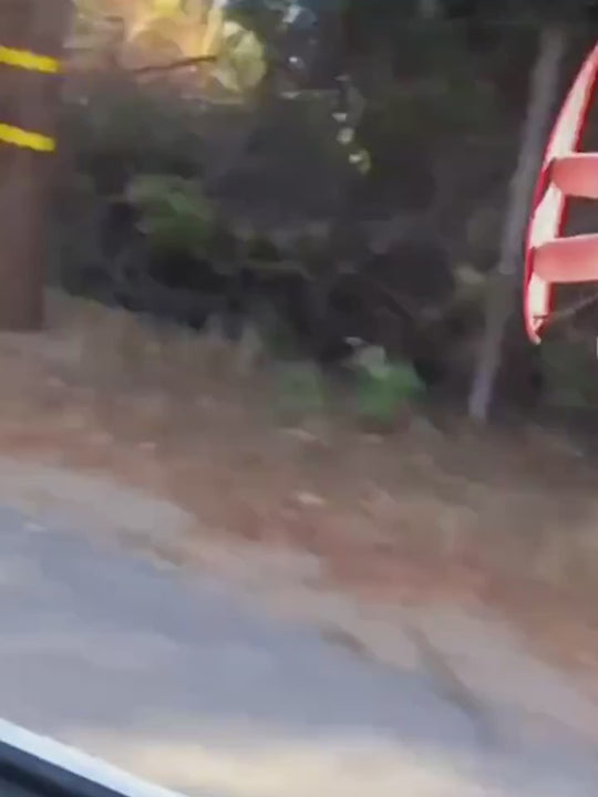 2pcs4pcs Finger Surfboards Finger Surf Board For Car Window Finger Surfing Board With String Wind Surfboard Fingerboard For Adults