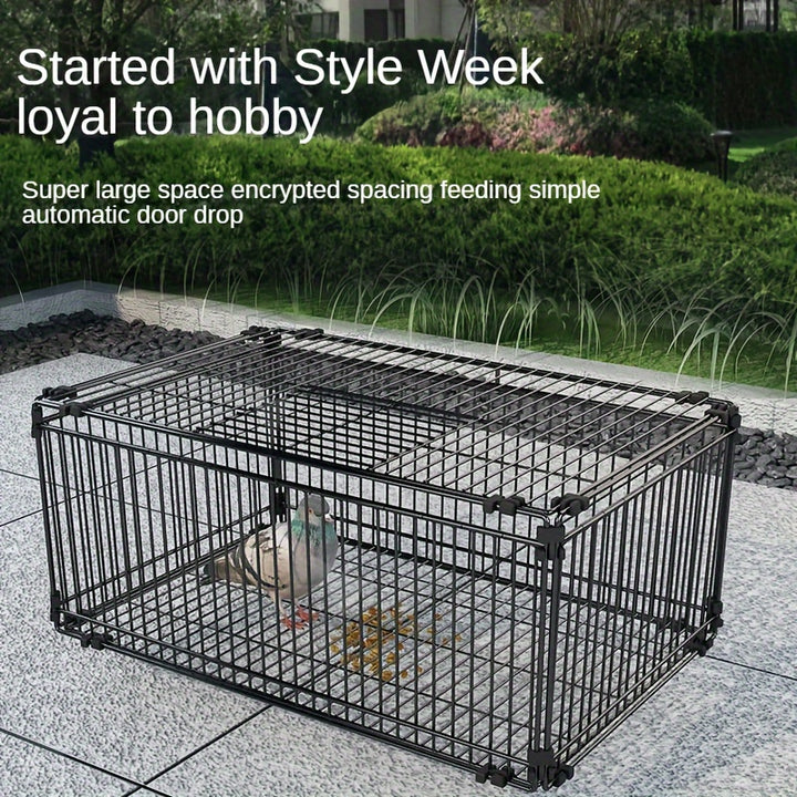 AutoLocking Black Iron Cage Trap for Birds  HeavyDuty Secure Capture Design for Chickens Ducks Geese Pigeons  Single Pack Outdoor Bird Trap with Encrypted AntiEscape Bars