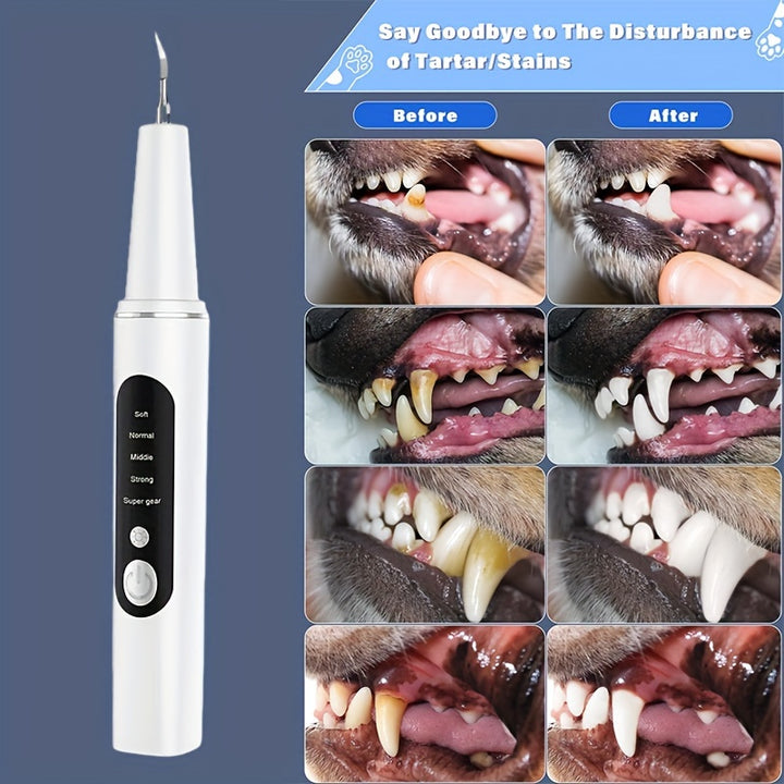 Pet Electric Tooth Cleaner with 4 Modes USB Charger and Cleaning Heads  TJRGSA4