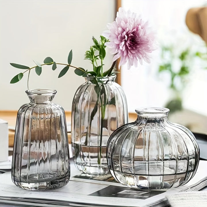 Small Glass Vases Floral Decor  IV02