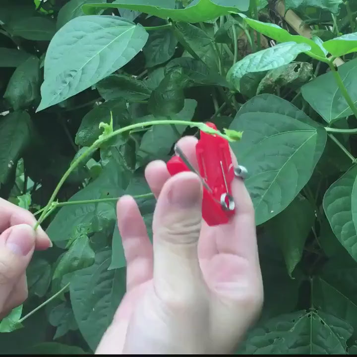 1pc MultiFunctional Thumb Knife Picking Finger Knife Gardening Small Guillotine Knife Picking Tea Playing Check To Remove Leaves Thumb Knife Used For Farm Garden Orchard Pinch Beard Hand Tools RedGreen