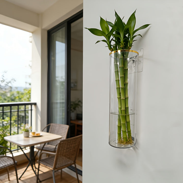 Clear WallMounted PlanterAML CGT