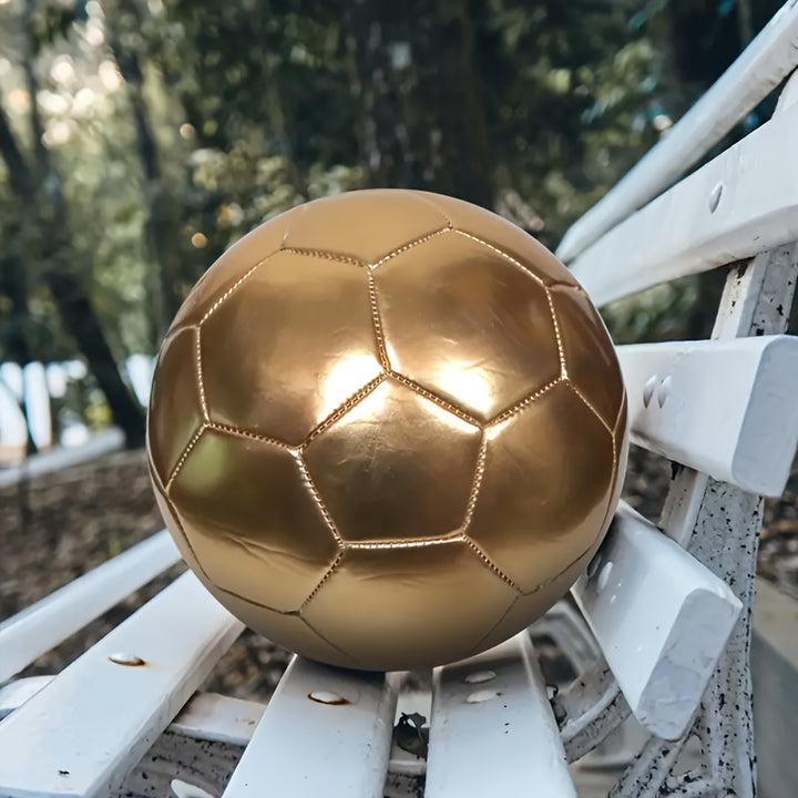 Golden Size 5 Soccer Ball RZN003