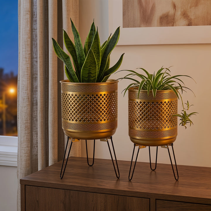 2Piece Classic Iron Flower Pot Set  SA22