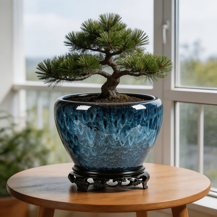Vintage Peacock Blue Ceramic Pot  BaseAML POT