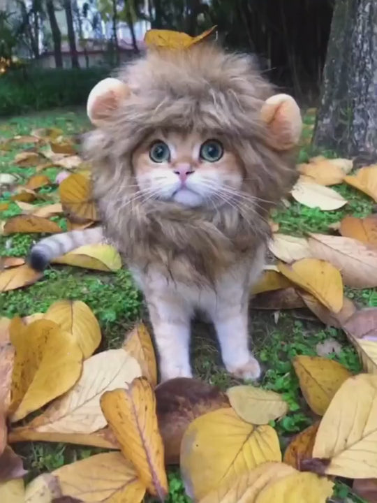 1pc Cat Lion Headgear  Funny And Cute Cat Hat Photo Best Match Props