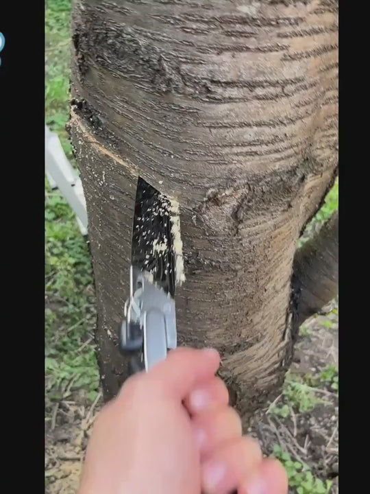 Damascus Steel Manual Pole Saw  Compact Garden Pruning  Carpentry Hand Saw with Ergonomic Handle  Protective Sheath  Metal with Bevel Capability for Wood Cutting  Includes Packet