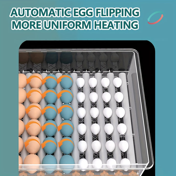16 Eggs Incubator Incubator for Chicken Eggs with Automatic HumidificationEgg Turning Quail Egg 6M6T
