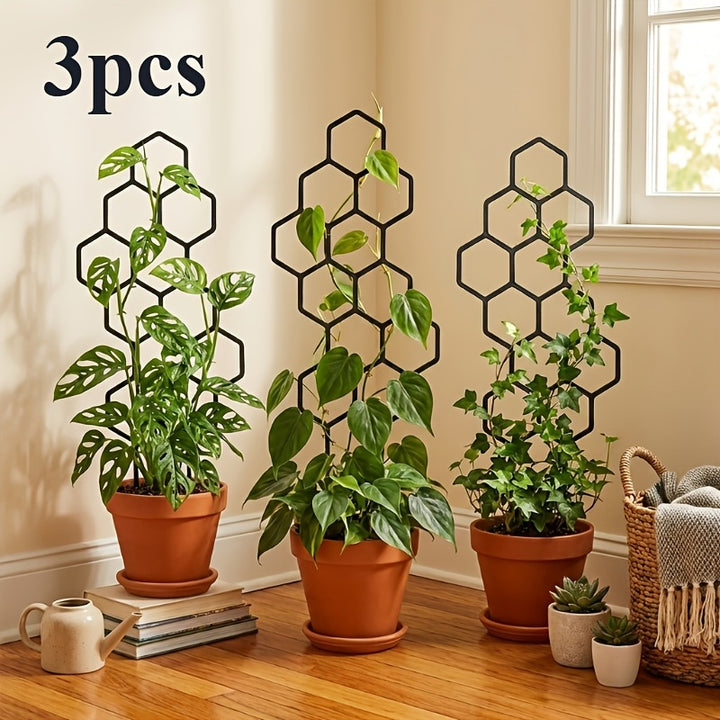 Honeycomb Plant Support Frame Set of 3
